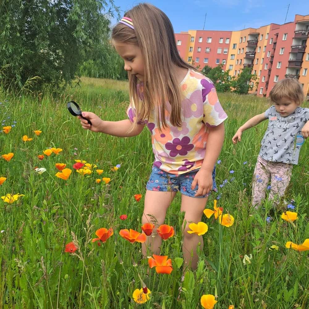Polisensoryczne poznawanie łąki